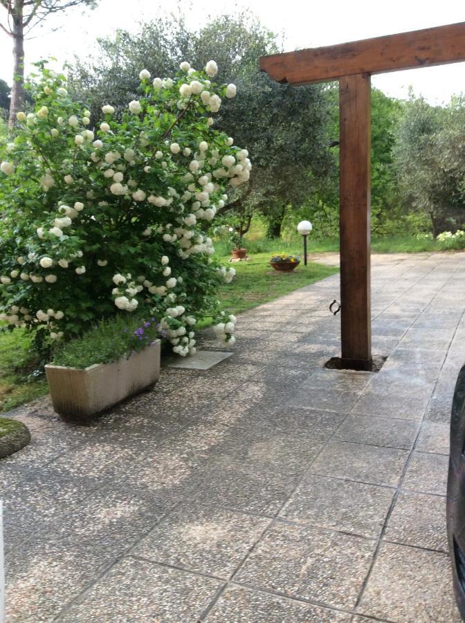 B&B Il Frassino Perugia Exterior foto